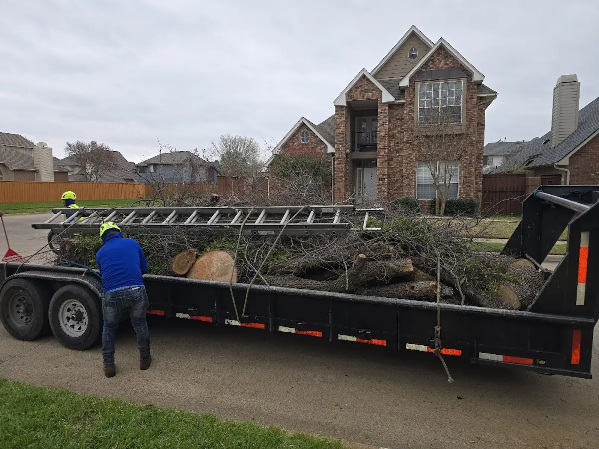 Expert Tree Fertilization with proper safety equipment in Jackson